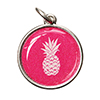 pineapple charm