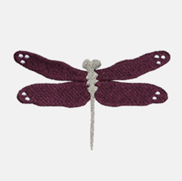 Example of an Dragonfly icon