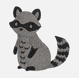 Example of an raccoon