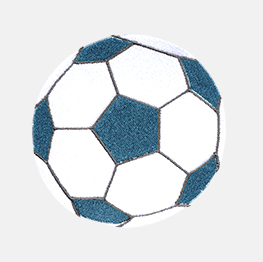 Example of a Soccer