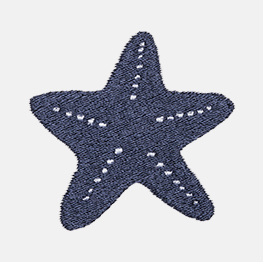 Example of a starfish icon-it