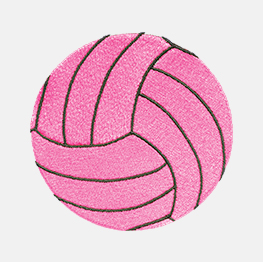 Example of a Volleyball